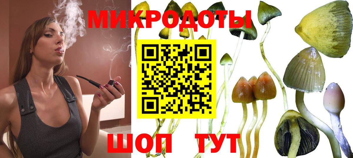 Псилоцибиновые грибы GOLDEN TEACHER Шебекино