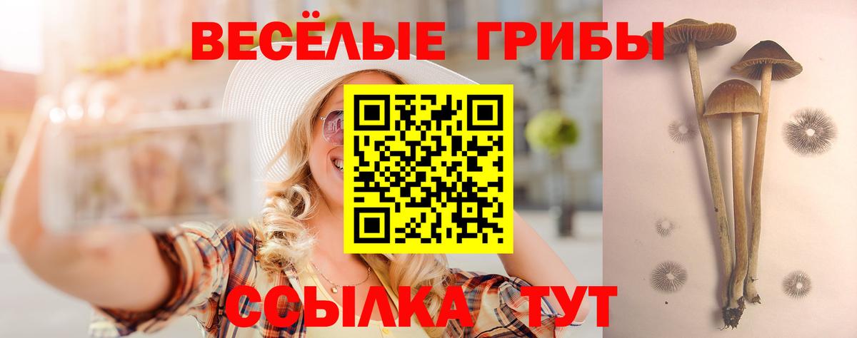 Псилоцибиновые грибы Cubensis  Вход с VPN  Шебекино  Псилоцибиновые грибы мицелий 